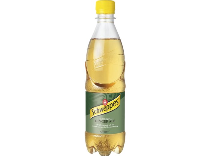 Schweppes Ginger Ale PET Tra 6x1.00l