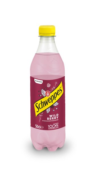 Schweppes Wild Berry PET Kar 4x6x0.50l