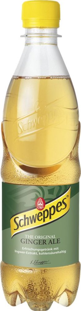 Schweppes Ginger Ale PET Tra 6x1.00l