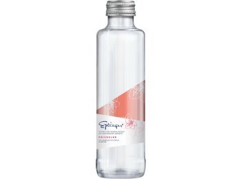 Eptinger rot mit CO2 Glas Har 20x0.50l