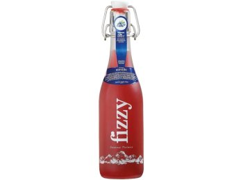 Gazzosa Ticinese Fizzy Heidelbeere Har 20x0.35l