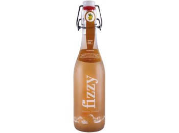 Gazzosa Ticinese Fizzy Muskattrauben Har 20x0.35l