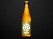 Amboss Blonde Har 24x0.33l